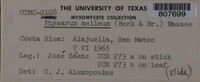 Image Associated With the Occurence